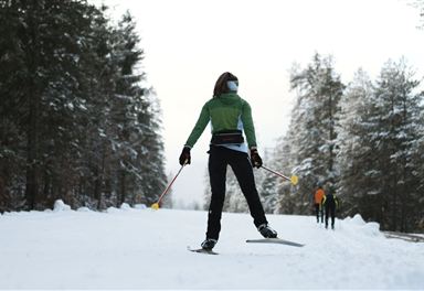Cross-country skier on snow-farming trail