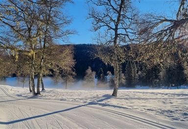 Cross-country ski trail C11 at Lottensee