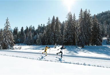 Cross-country skiing on the Torfstich trail