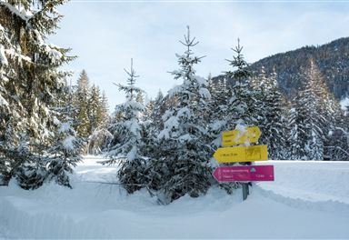 Winter hiking trail 15 Katzenloch