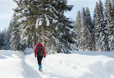 Winter hiking trail Katzenloch in Leutasch