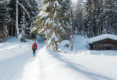 Winter hiking trail Katzenloch in Leutasch