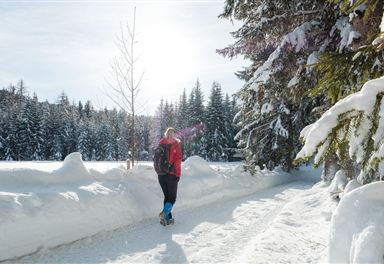 Winter hiking trail in Leutasch