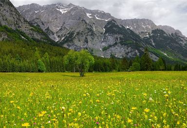 Leutasch meadows in spring