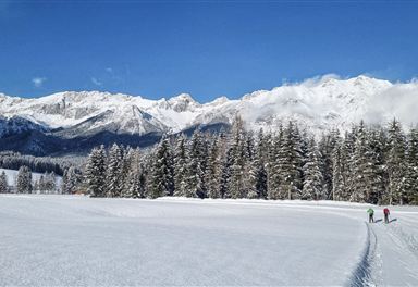 Cross-country ski trail A5 Obern in Leutasch
