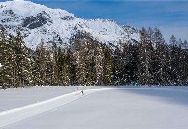 Loipe A8 Lehner with cross-country skier