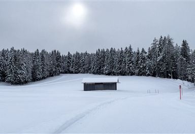 Cross-country trail B4 in fresh snow