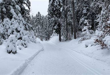 Trail C10 Mundeknie in fresh snow