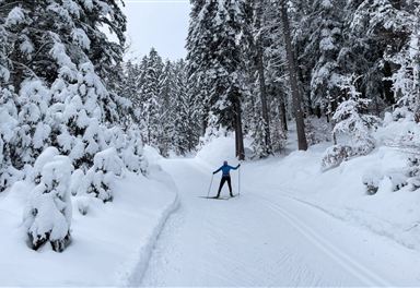 Trail C10 Mundeknie in fresh snow