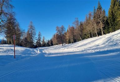 Cross-country ski trail C11 at Lottensee