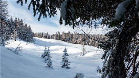 Winterlandschaft bei der Triendlsäge
