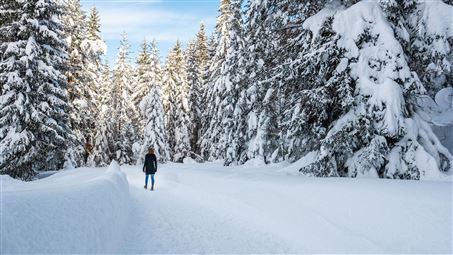 Winterwanderung zur Triendlsäge