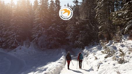 Winterwandern am Wildmoos Plateau