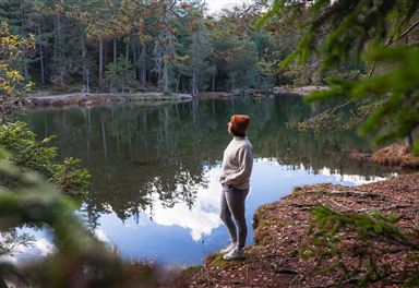 Wanderin am Möserer See