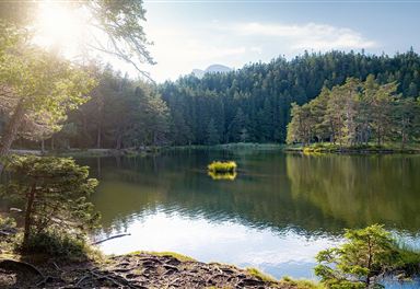 moeserer_see_im_sommer_aufnahme_am_ufer.jpg