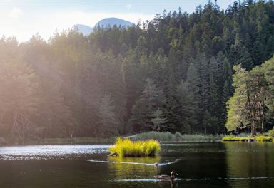 Möserer See im Sommer