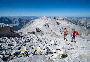 Ascent to the Westliche Ödkarspitze