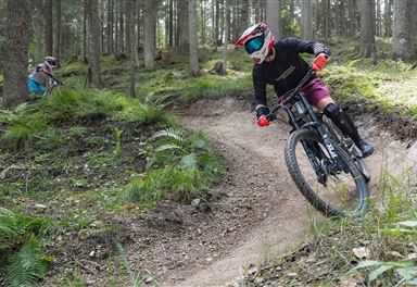 Mountain biking at Katzenkopf