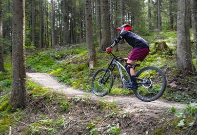 Mountain biking at Katzenkopf