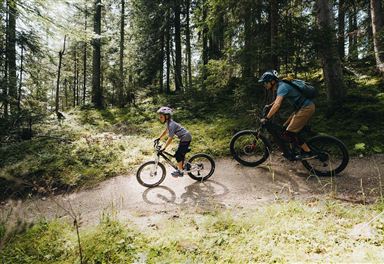 Mountain biking in the Bikepark Katzenkopf