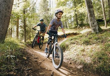 Mountain biking in the Bikepark Katzenkopf