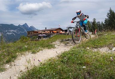 Mountain biking at Katzenkopf