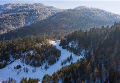Toboggan run on the Mühlberg