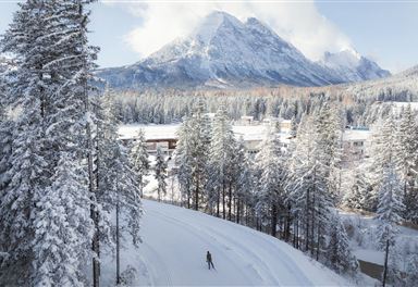 Cross-country ski trail in winter