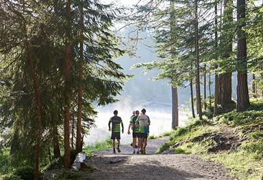 Running loop at Möserer See