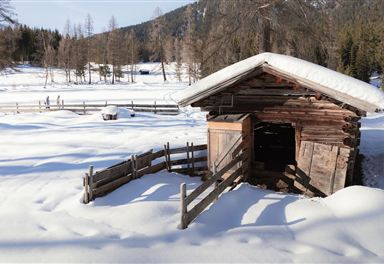 Wooden hut on the Wiesenweg