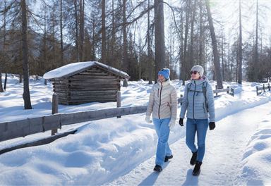Winter hike on the Wiesenweg