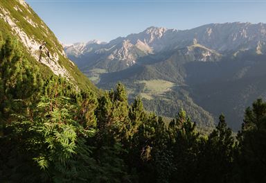 Blick von der Rauthhütte