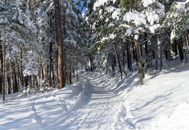 Winterlicher Panoramaweg Reith - Leithen