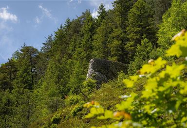 Mauerreste der Porta Claudia