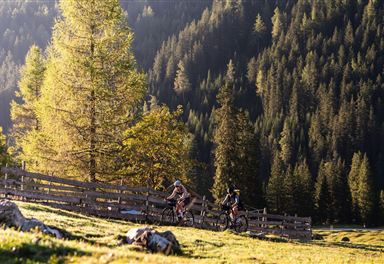 Female cyclists at the Gaistalalm