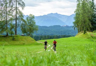 Mountain bikers on alpine meadow