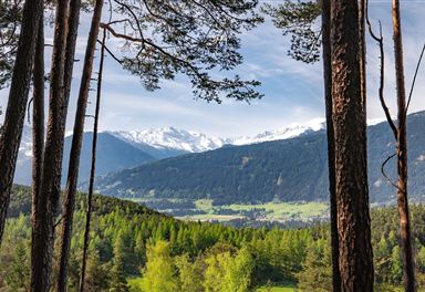 Blick vom Reither Wiesenweg