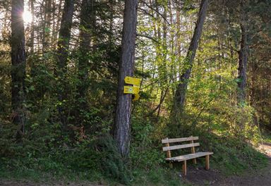Wanderwegweiser und Rastbank im Wald