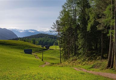 Wiesenweg bei Reith