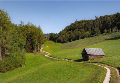 Wiesenweg bei Reith