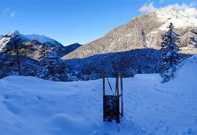 Kreidegraben Scharnitz toboggan run