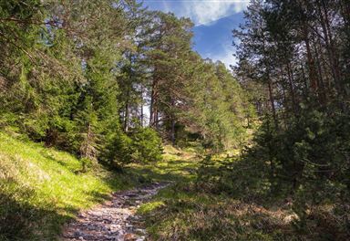 Wanderweg zur Birzlkapelle