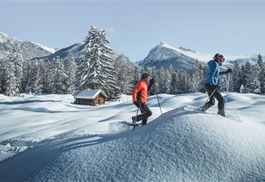 Snowshoe hiking to the Birzlkapelle