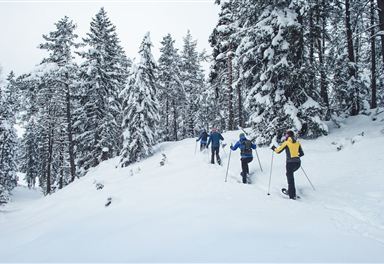 Schneeschuhwanderung zur Pleisenhütte
