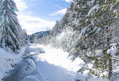Wintertrail an der Leutascher Ache
