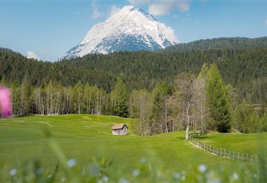 Blick zur Hohen Munde
