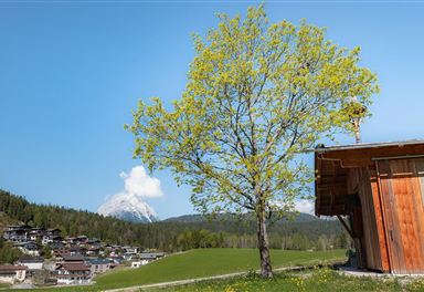 Seefeld Geigenbühel im Frühling
