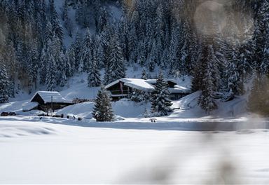 Wildmoosalm in winter