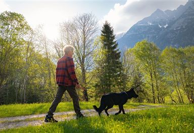 Wanderung mit Hund in Unterleutasch