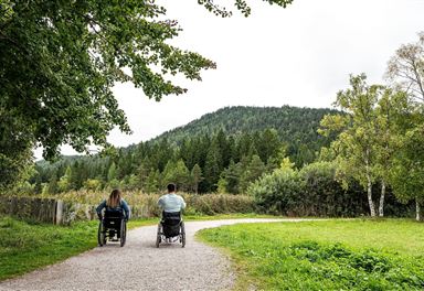 Barrierefreie Wanderung am Wildsee